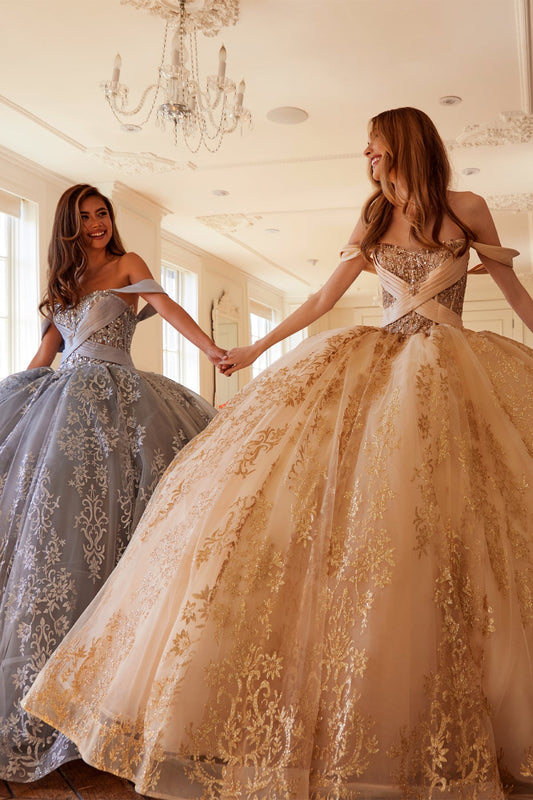 Embellished Lace Applique Tulle Ball Gown Quinceañera Princess JTJT1488H
